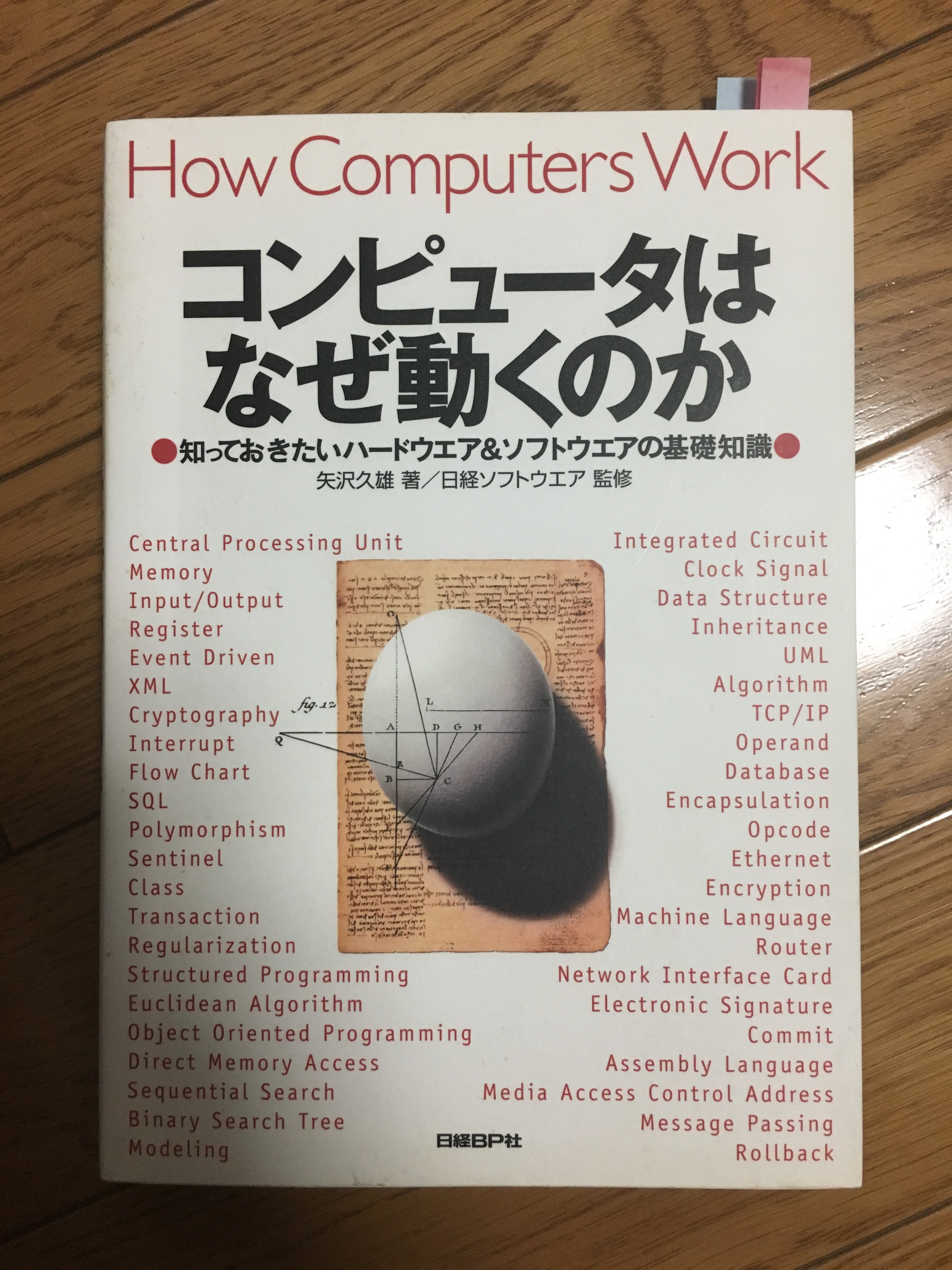 Cover Image of the Post