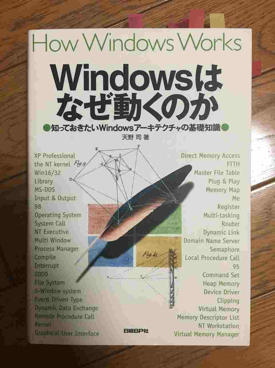 Cover Image of the Post