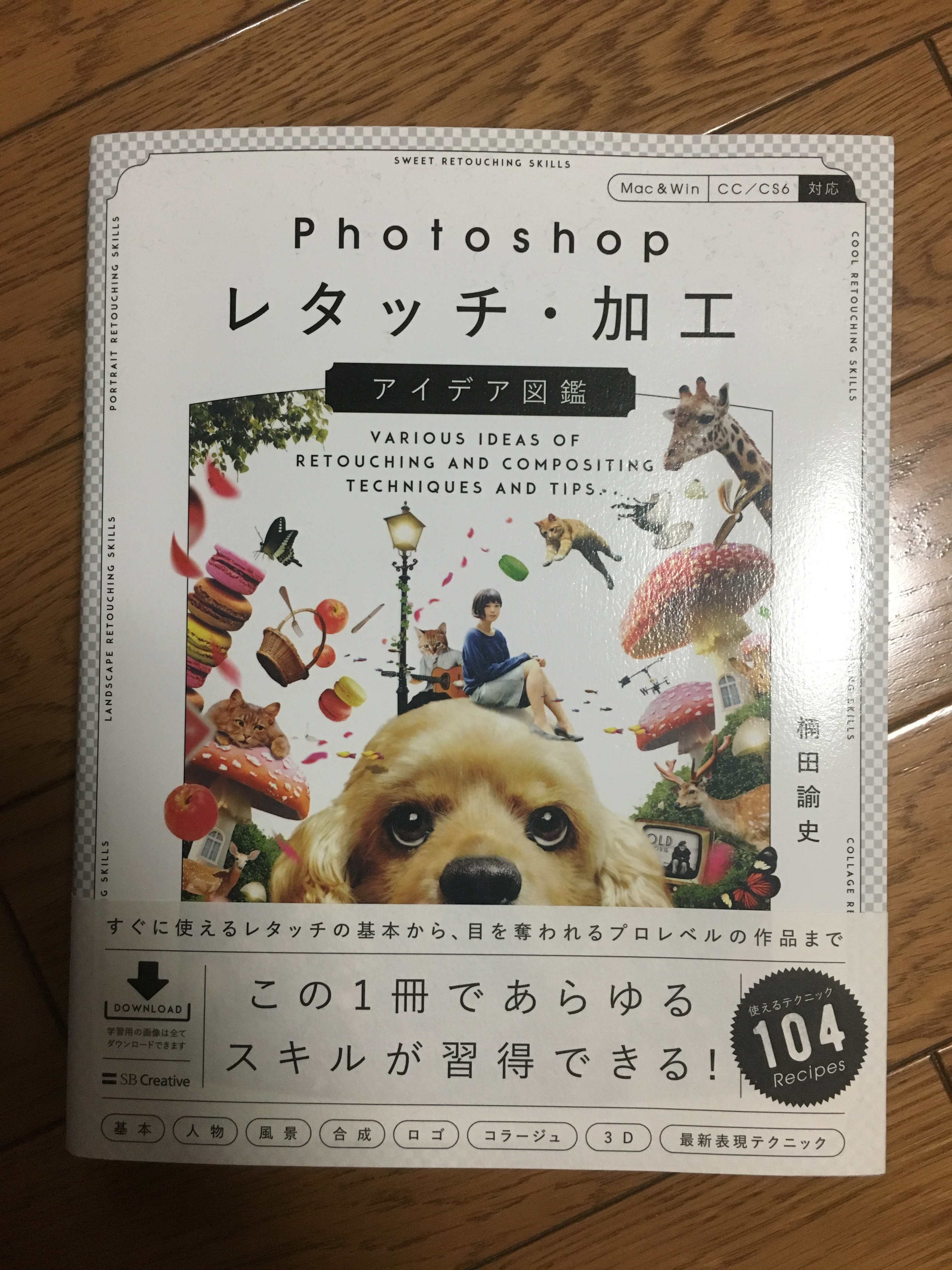 Cover Image of the Post